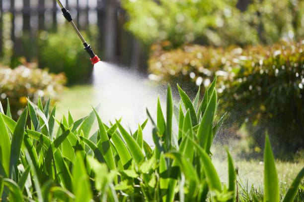 Tamper-Resistant Bait Stations for Rodents in St. Ignace