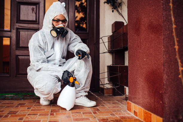 Attic and Crawl Space Rodent Treatment in St. Ignace